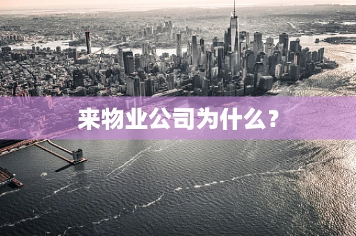 来物业公司为什么？