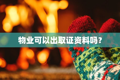 物业可以出取证资料吗？