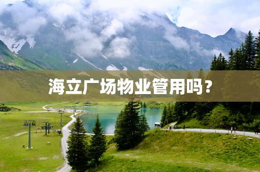 海立广场物业管用吗？