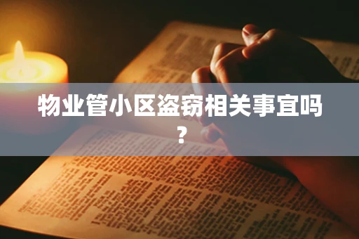 物业管小区盗窃相关事宜吗？