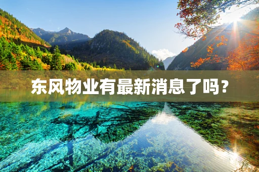 东风物业有最新消息了吗？