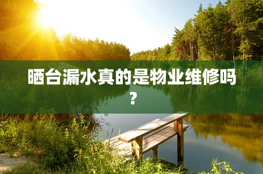 晒台漏水真的是物业维修吗？