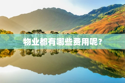 物业都有哪些费用呢？