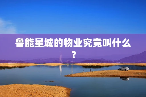 鲁能星城的物业究竟叫什么？