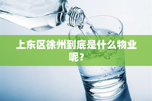上东区徐州到底是什么物业呢？