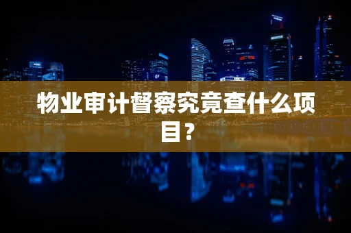 物业审计督察究竟查什么项目？