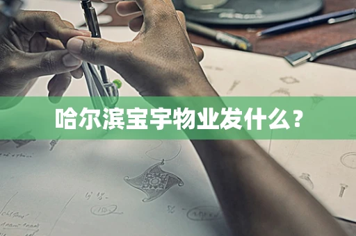 哈尔滨宝宇物业发什么？