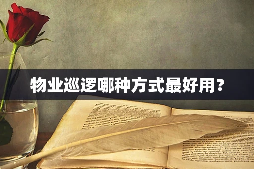 物业巡逻哪种方式最好用？