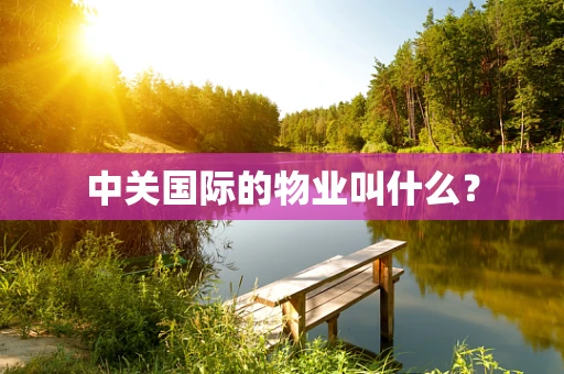 中关国际的物业叫什么？
