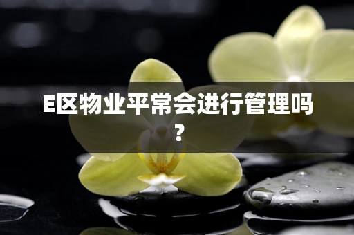 E区物业平常会进行管理吗？