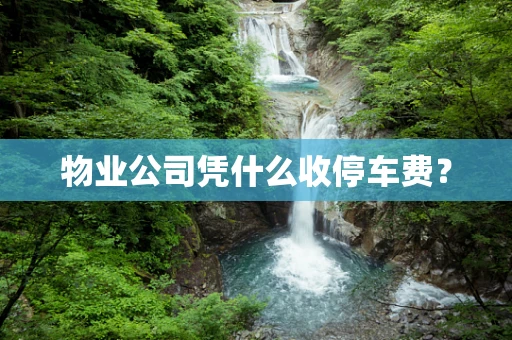 物业公司凭什么收停车费？