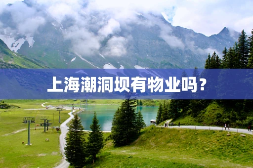 上海潮洞坝有物业吗？