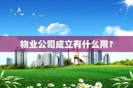 物业公司成立有什么用？