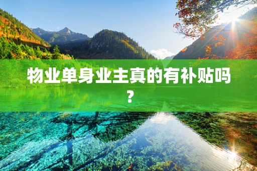 物业单身业主真的有补贴吗？