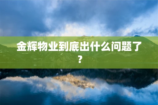 金辉物业到底出什么问题了？