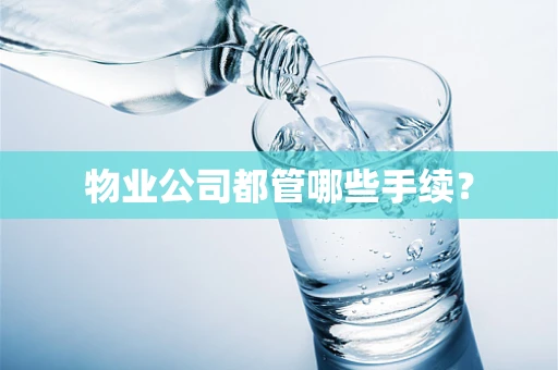 物业公司都管哪些手续？