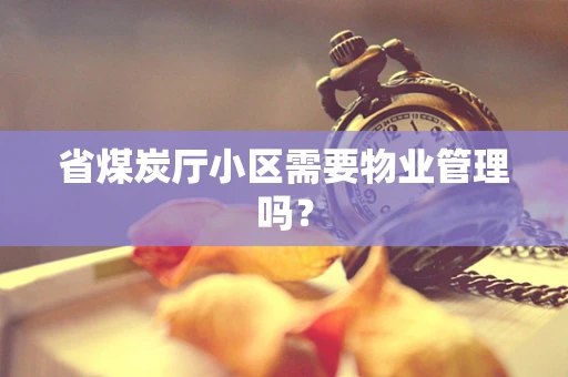 省煤炭厅小区需要物业管理吗？