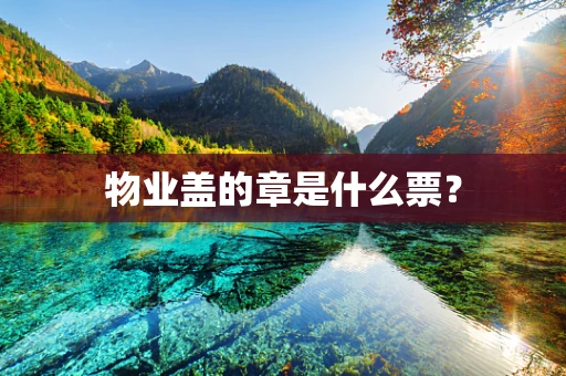物业盖的章是什么票？