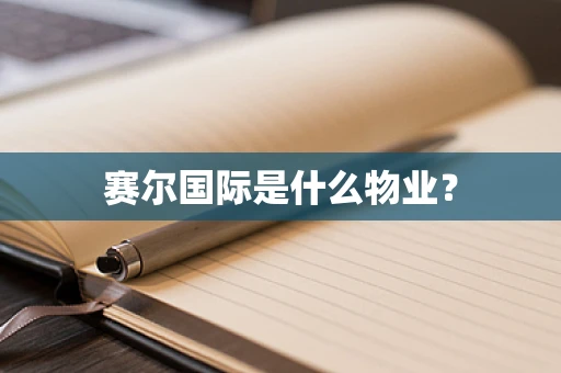 赛尔国际是什么物业？