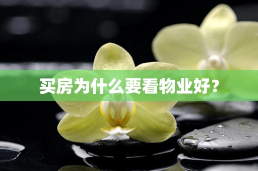 买房为什么要看物业好？