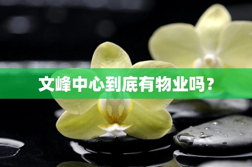 文峰中心到底有物业吗？