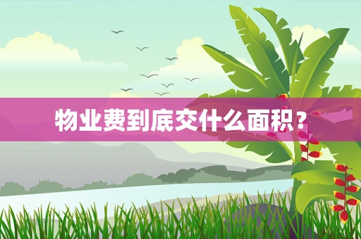 物业费到底交什么面积？