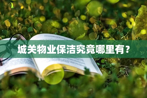 城关物业保洁究竟哪里有？