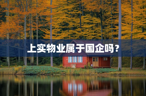 上实物业属于国企吗？