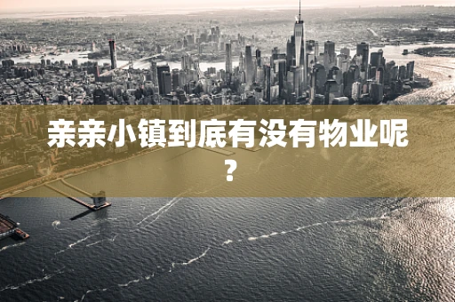 亲亲小镇到底有没有物业呢？