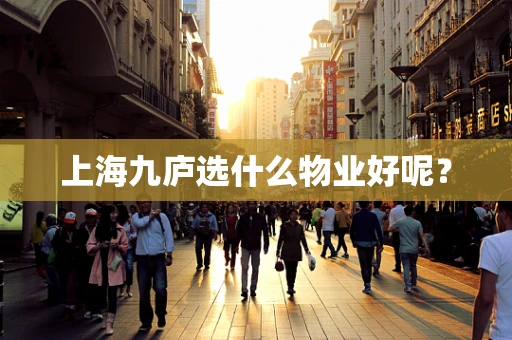 上海九庐选什么物业好呢？