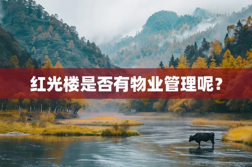 红光楼是否有物业管理呢？