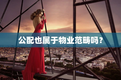 公配也属于物业范畴吗？