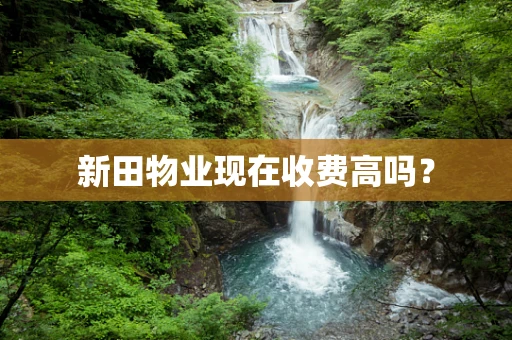 新田物业现在收费高吗？
