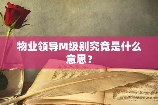 物业领导M级别究竟是什么意思？