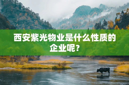 西安紫光物业是什么性质的企业呢？