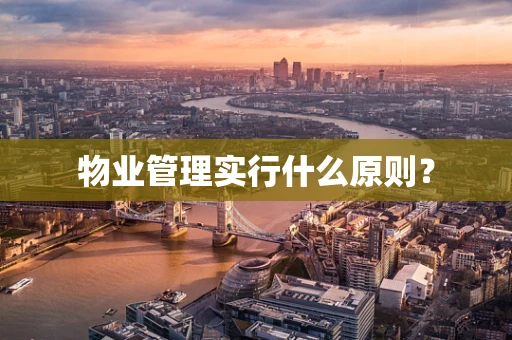 物业管理实行什么原则？