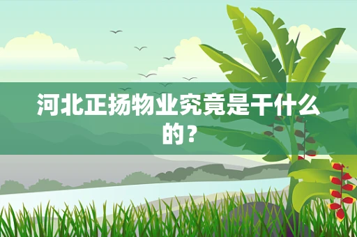 河北正扬物业究竟是干什么的？