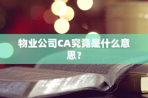 物业公司CA究竟是什么意思？