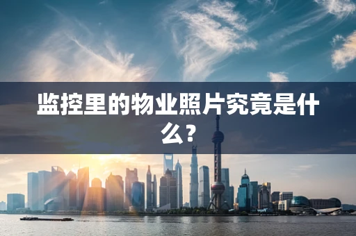 监控里的物业照片究竟是什么？