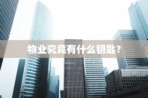 物业究竟有什么钥匙？