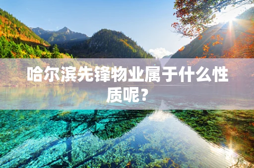 哈尔滨先锋物业属于什么性质呢？
