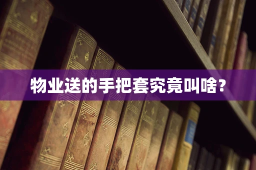 物业送的手把套究竟叫啥？