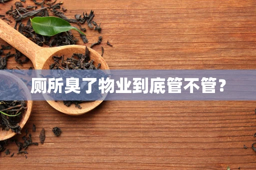 厕所臭了物业到底管不管？