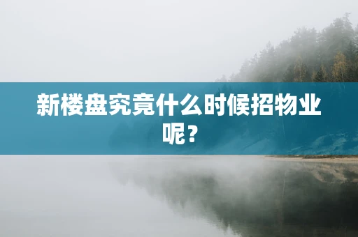 新楼盘究竟什么时候招物业呢？
