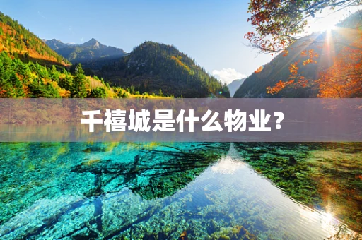 千禧城是什么物业？