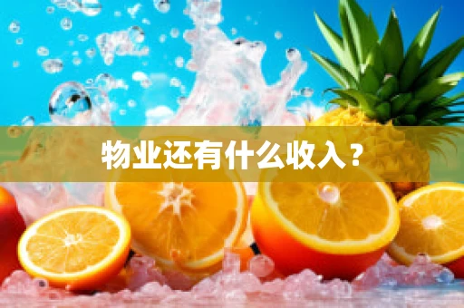 物业还有什么收入？