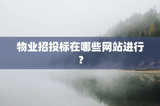 物业招投标在哪些网站进行？