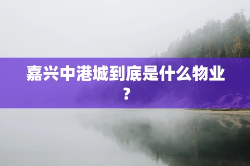 嘉兴中港城到底是什么物业？