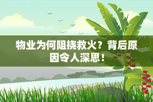 物业为何阻挠救火？背后原因令人深思！