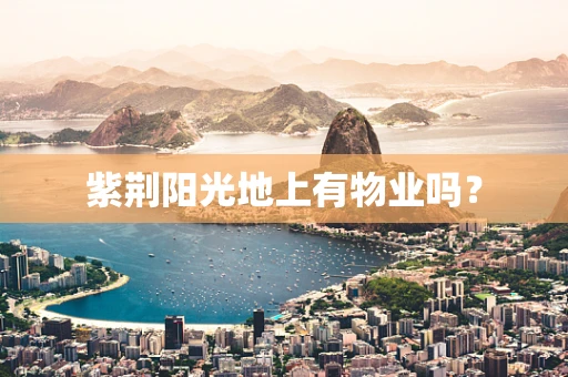 紫荆阳光地上有物业吗？